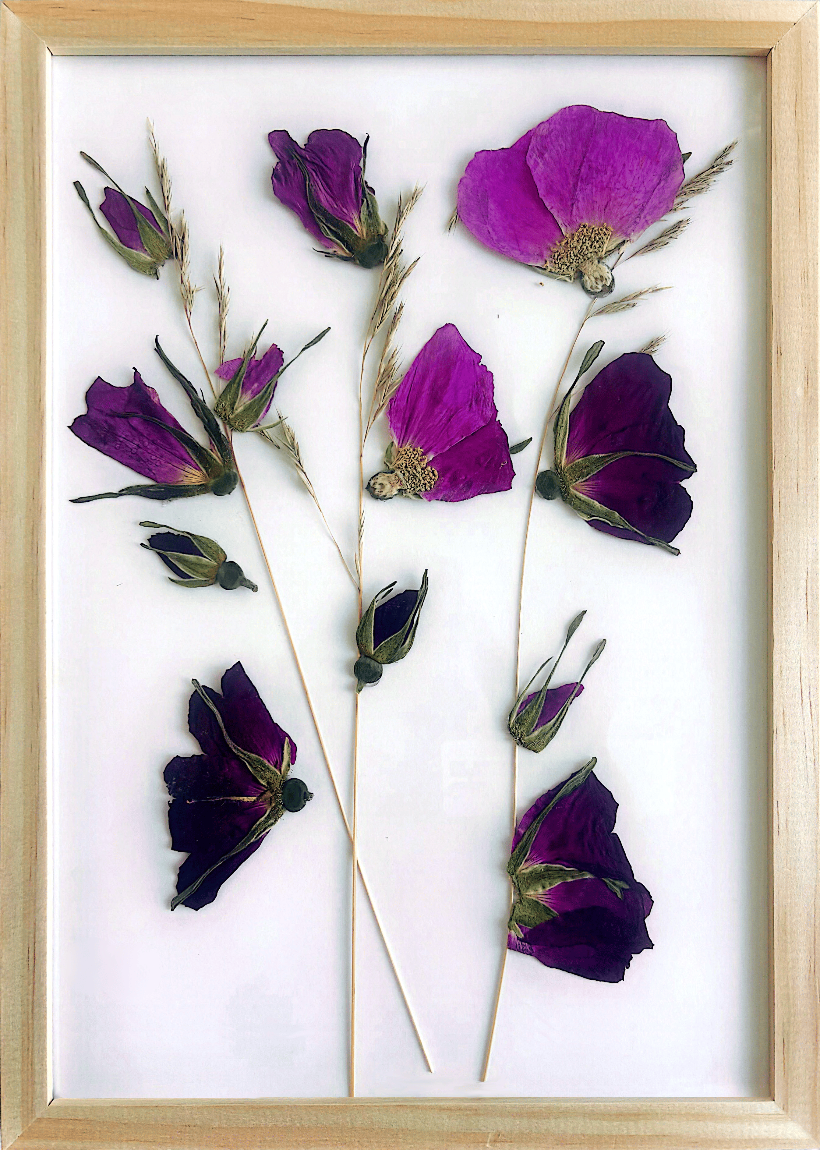 Hand pressed botanical artwork from RAALIV Collection 01